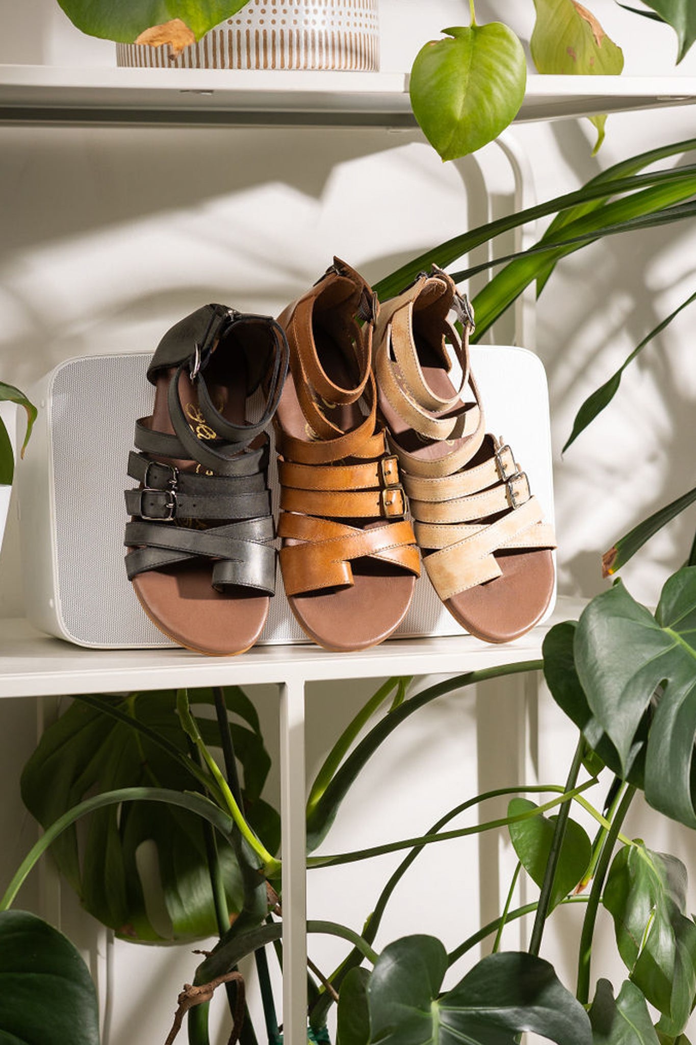 Blair Sandals in Black - Rural Haze