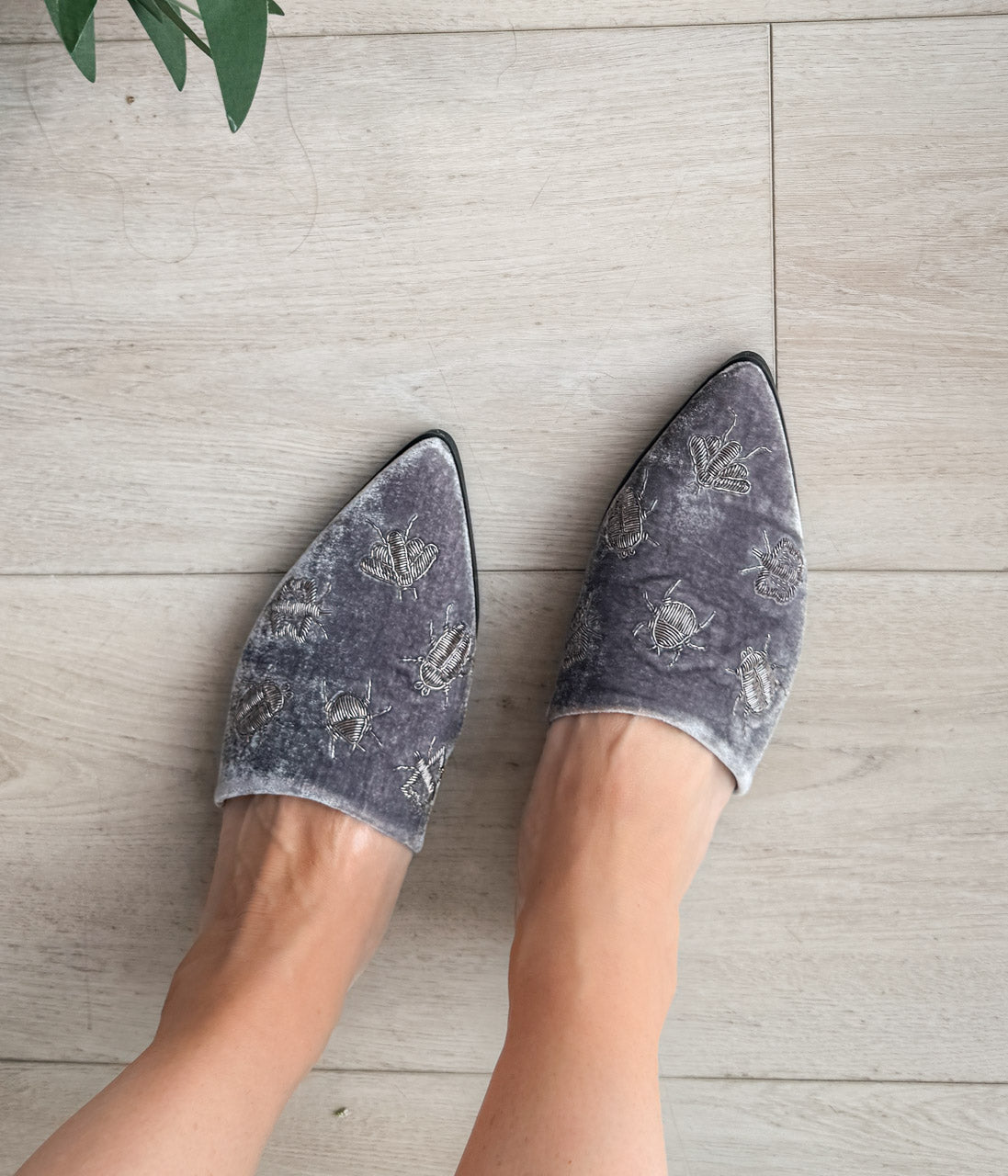 Dragonfly Velvet Flats in Grey - Rural Haze