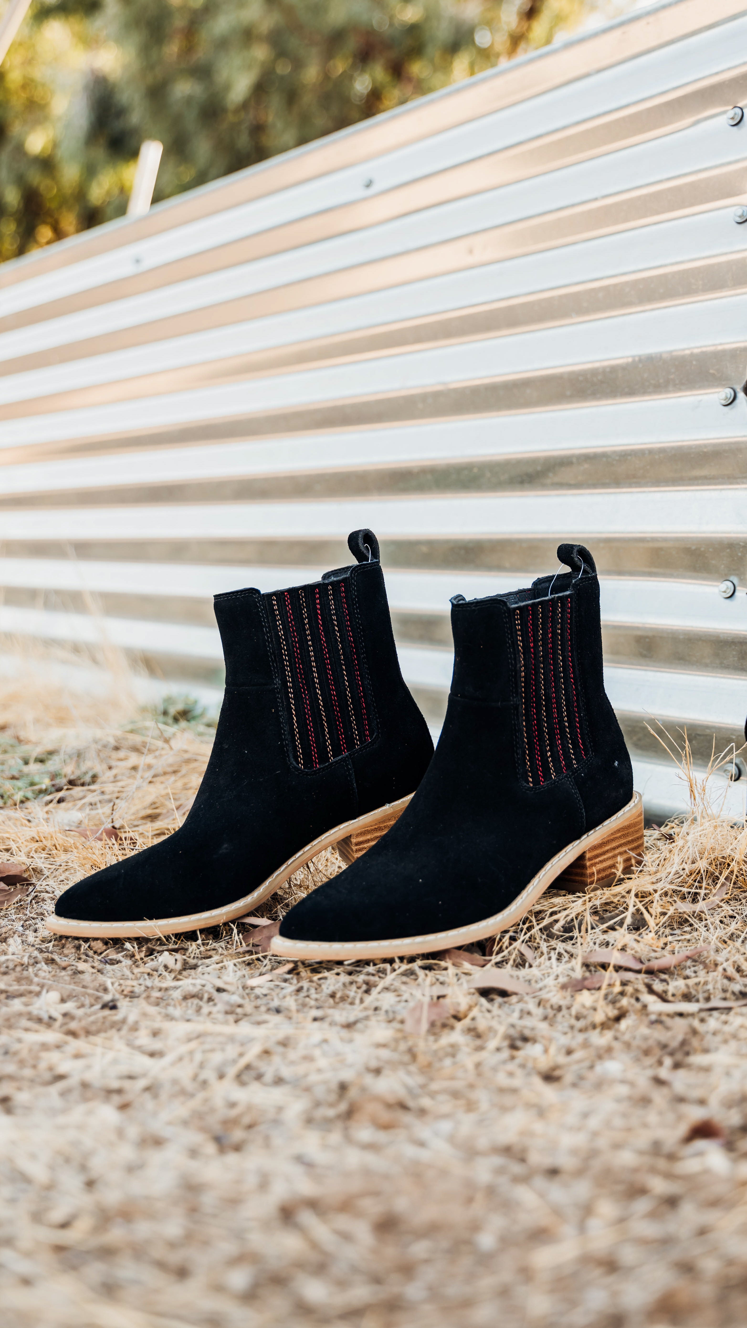 Leonor Suede Ankle Boot in Black - Rural Haze