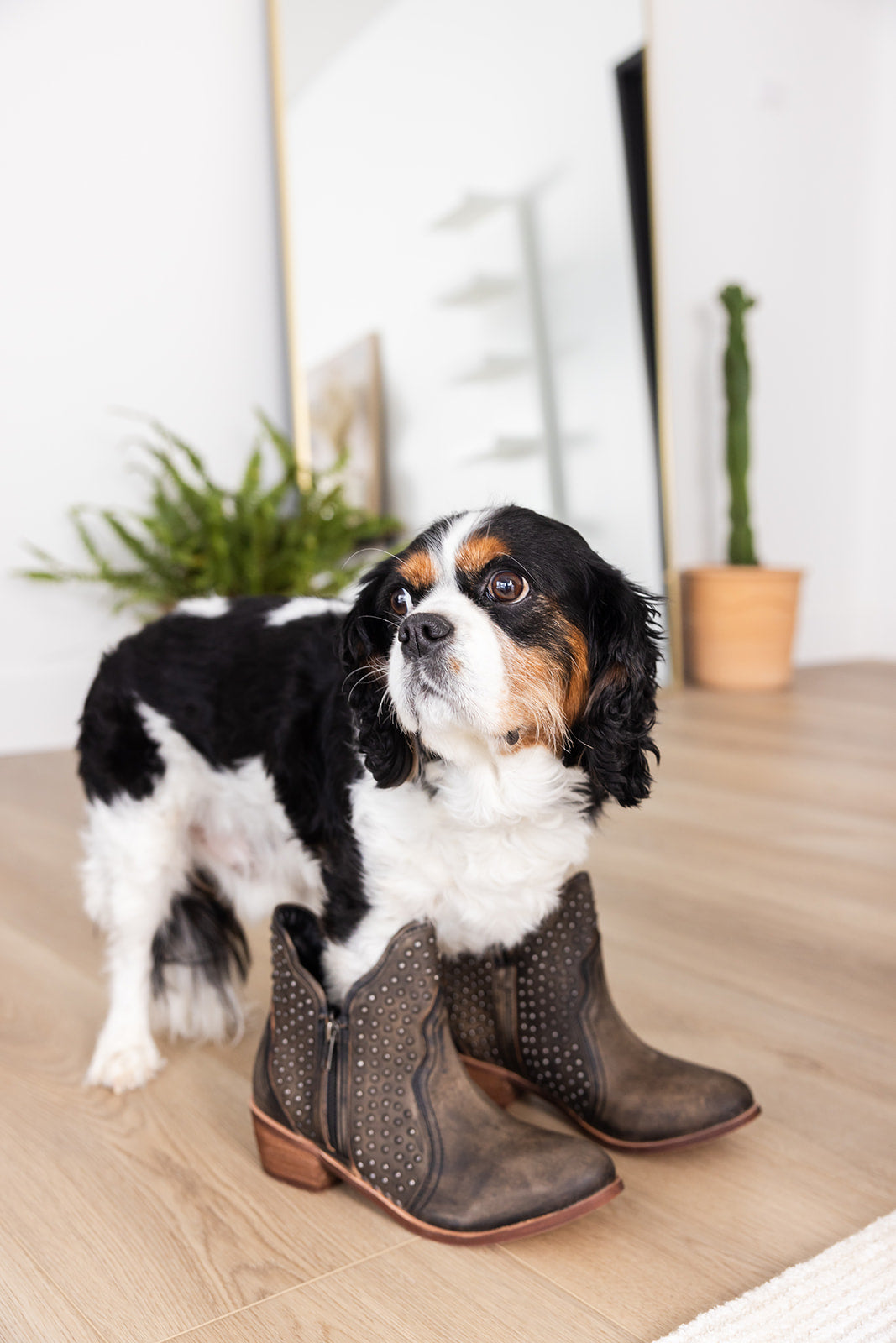 Nailed It Ankle Boot in Black - Rural Haze